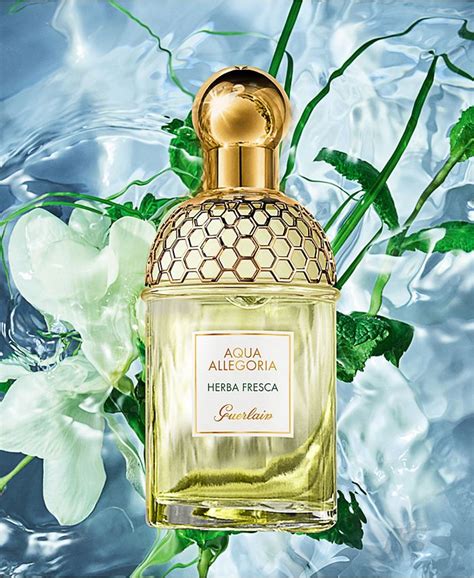 guerlain aqua allegoria herba fresca.